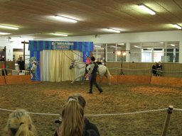 IMG_5252_web